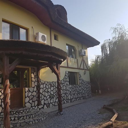Hôtel Constantin Si Elena à Dunavăţu de Jos Extérieur photo