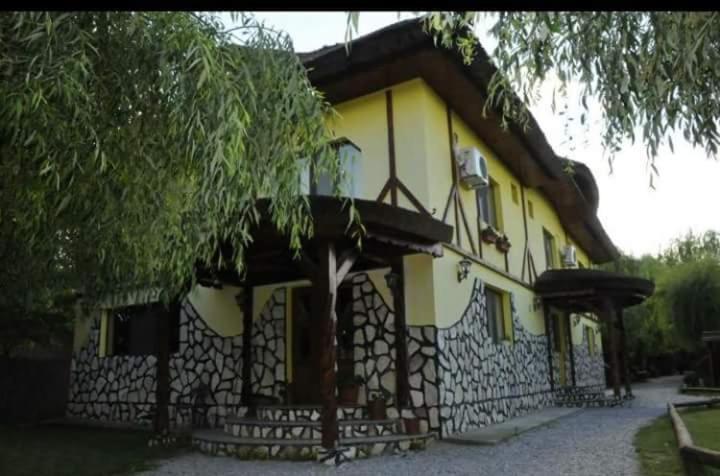 Hôtel Constantin Si Elena à Dunavăţu de Jos Extérieur photo