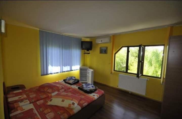 Hôtel Constantin Si Elena à Dunavăţu de Jos Extérieur photo